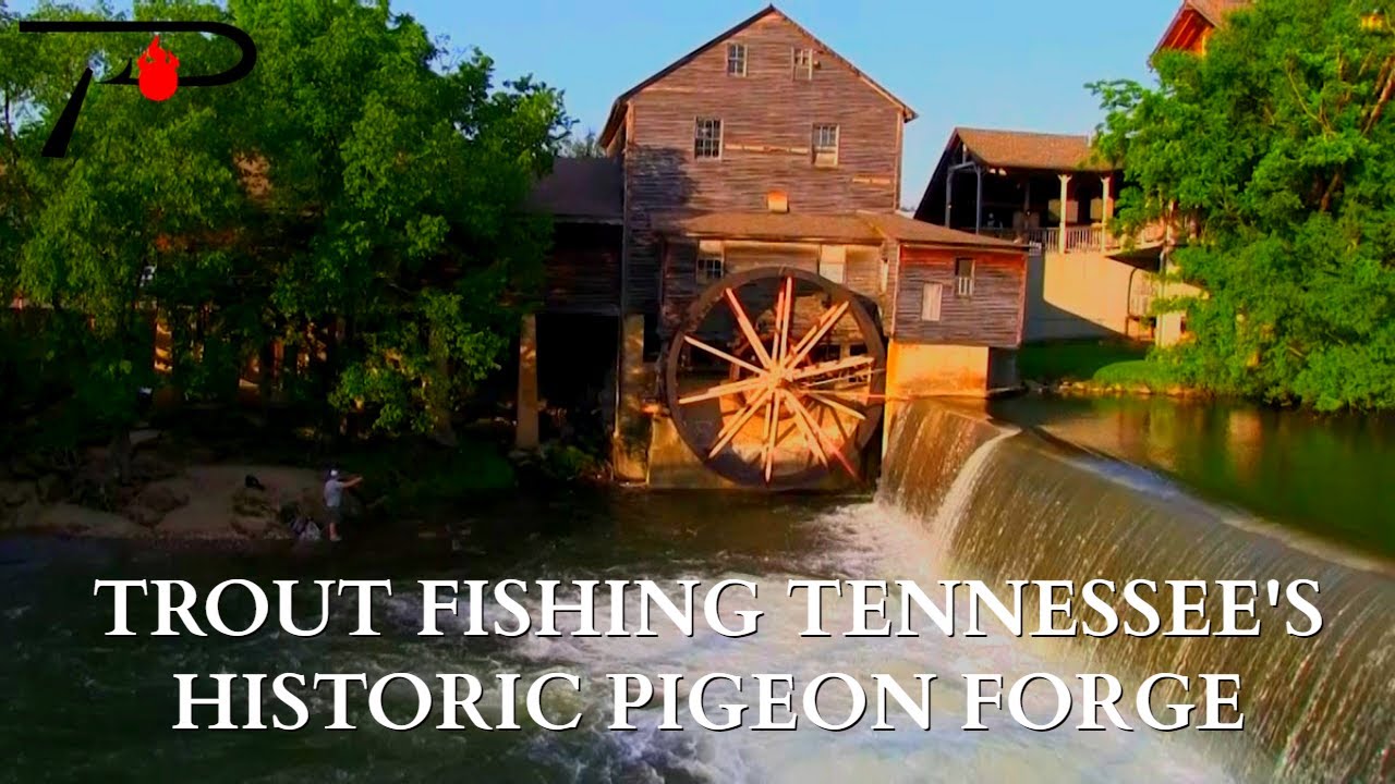 Trout Fishing Tennessee's Pigeon Forge