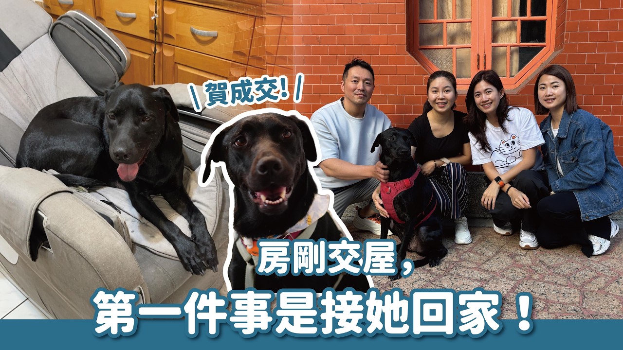 房子剛交屋，他們做的第一件事：接大黑狗芭比回家！