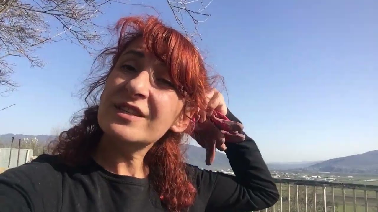 როდის დავთესოთ ღია გრუნტში ბოსტნეული?