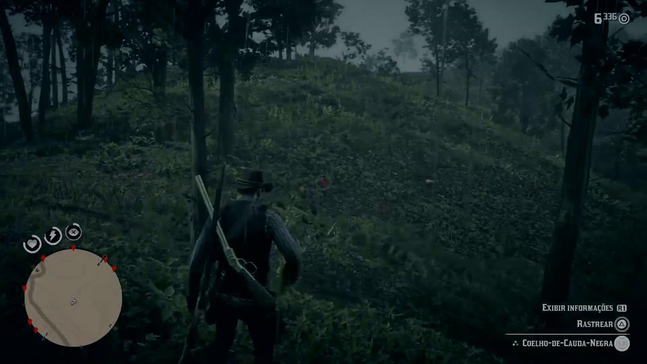 Red Dead R. 2 - With John - Exploring - PS4