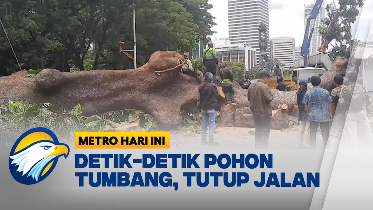 Detik-Detik Pohon Mahoni Raksasa Tumbang, MRT dan Lalu Lintas Senayan Terdampak - [Metro Hari Ini]