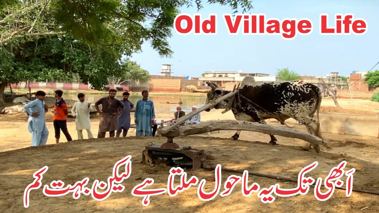 Old Village Life | Traditional Pakistani Culture & Rural Lifestyle | Naway Haq Numa
