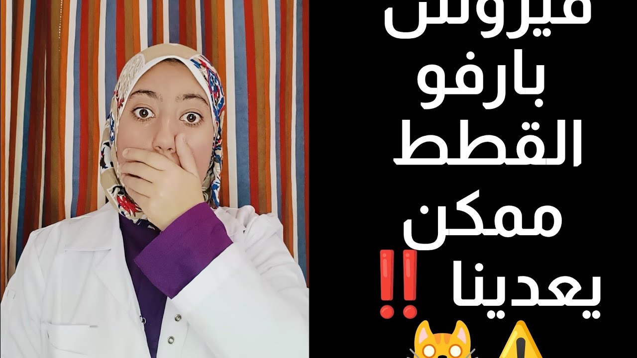 كل ما تريد معرفته عن مرض بارفو القطط ⚠️🐱