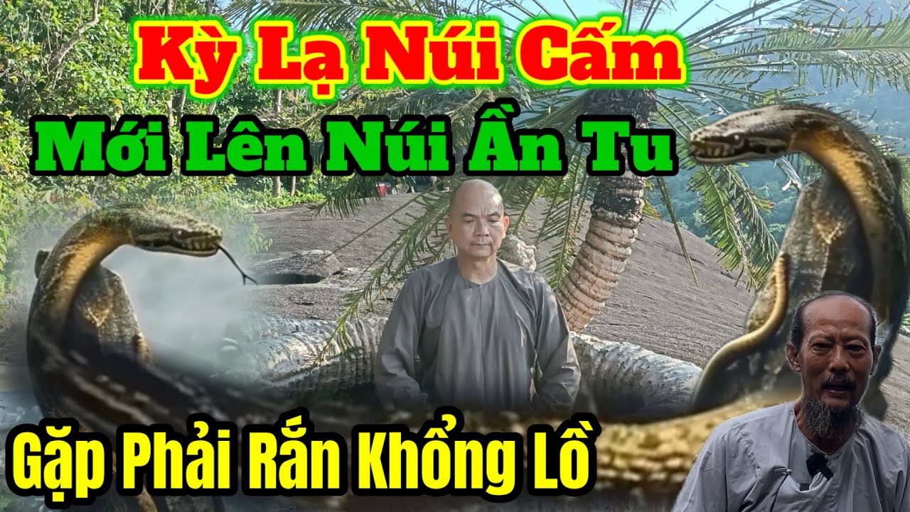 Kỳ Lạ Núi Cấm mới Lên Núi Cấm Ẩn Tu - Gặp phải Rắn Khổng Lồ ( Chú Sáu muốn bỏ Chạy | Châu Phú Area