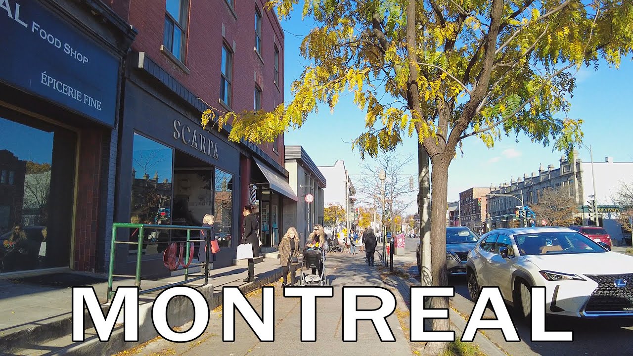 Montreal Autumn Walk through Westmount - November 2023