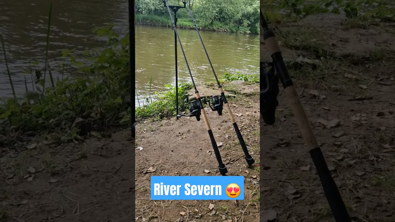 River Severn Barbel Fishing #fishforeverything #korum #daiwa