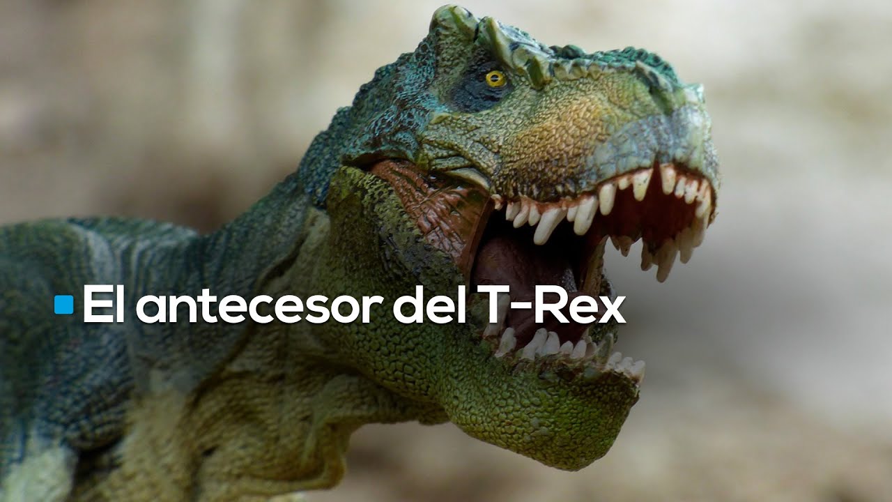 Cient&iacute;ficos revelan nueva especie de Tiranosaurio en Coahuila; se llama Labocania Aguillonae