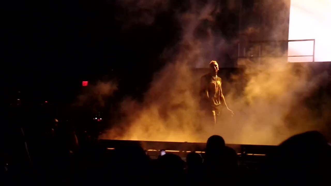 Chris Brown- pitch black Live