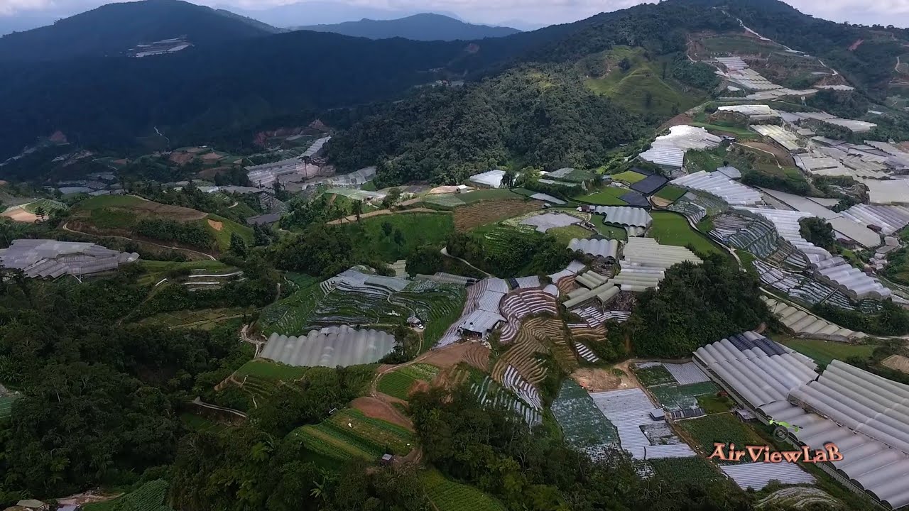 Cameron Highlands Drone View