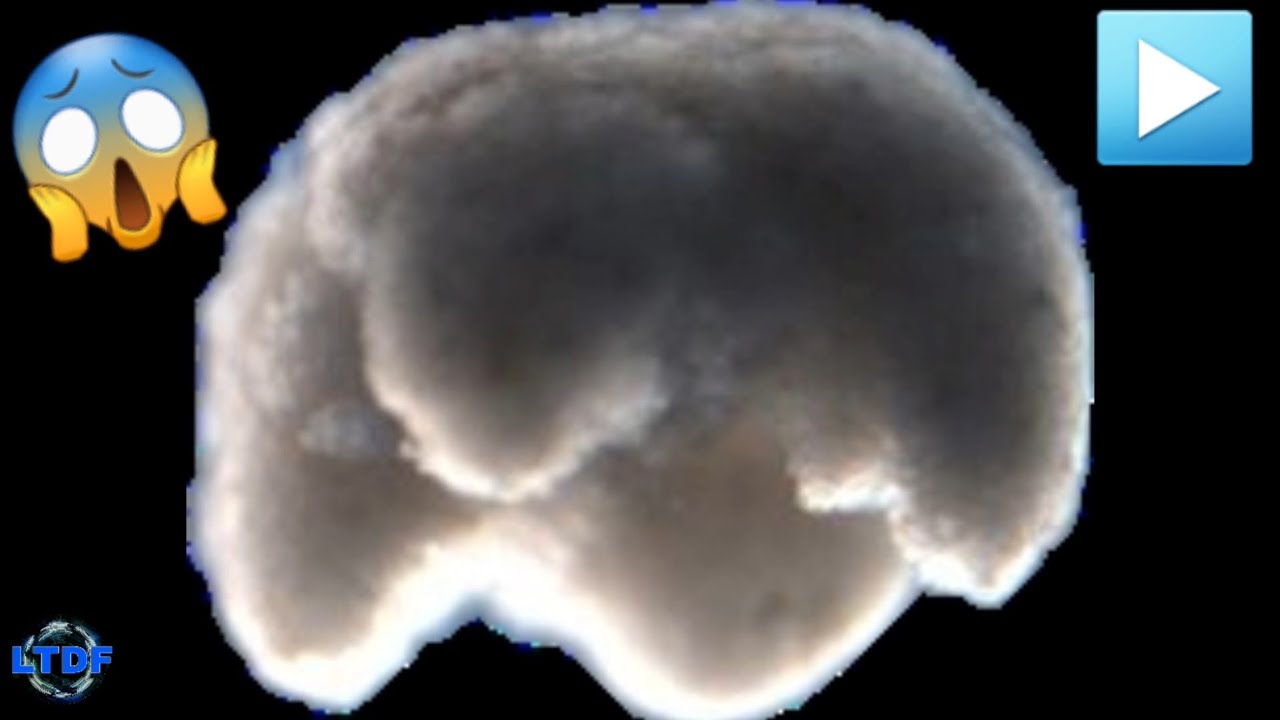 BIOBOTS, Los robots hechos a partir de c&eacute;lulas de RANA #LTDF