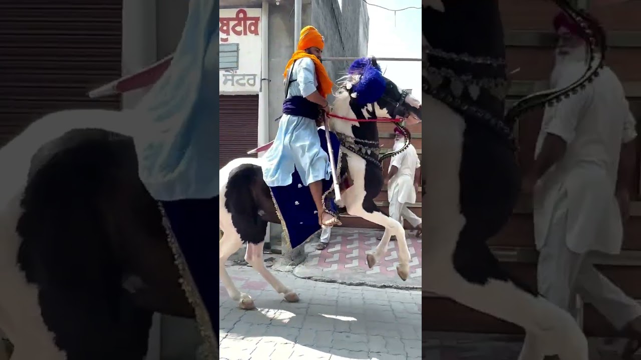 #nihangjaspreetsingh #nihang #sikh #singh #punjab #dumala #gatka #khalsa #khalsapanth #waheguru #ji