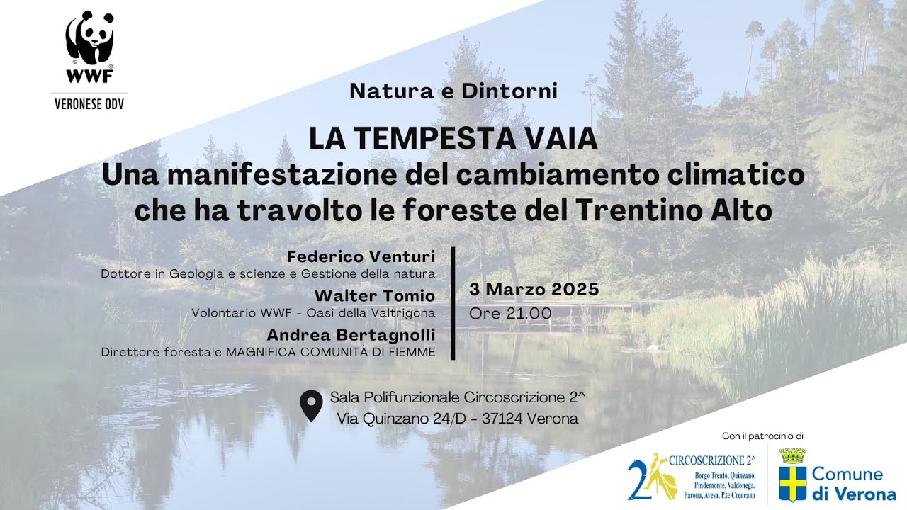 LA TEMPESTA VAIA