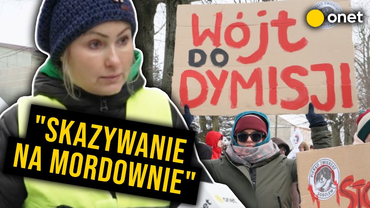 BYLIŚMY PRZED SCHRONISKIEM W SOBOLEWIE. 