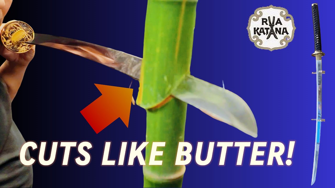 What can't this Cut? | Black Dragon Katana by Cloudhammer and RVA Katana |Samurai Sword Cutting Test