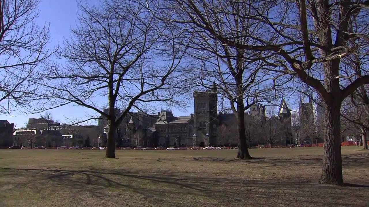Lawyer tops list of Canada's best jobs