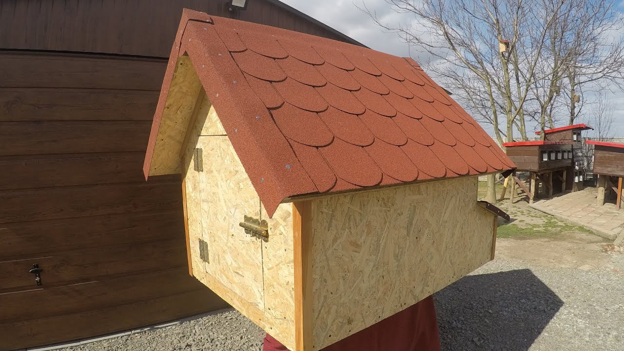 Budowa Kurnika/Construction of the Chicken Coop/Poulailler