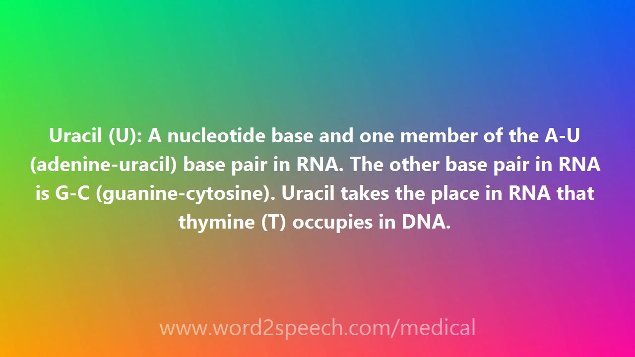 Uracil (U) - Medical Meaning and Pronunciation