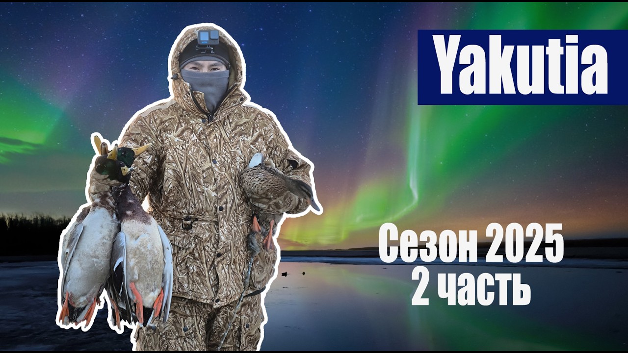 Охота с подсадной уткой 2025.Якутия. Часть 2. HUNTING WITH A DECOY DUCK IN YAKUTIA #охота#adventure