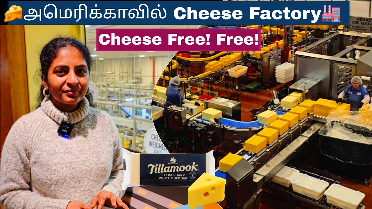 🧀🙀அடேங்கப்பா  இவ்ளோ வருஷம் ஆகுமா சீஸ் செய்ய🐀🧀Tillamook Cheese Factory Tour | Pudhumai Sei | USA Vlog