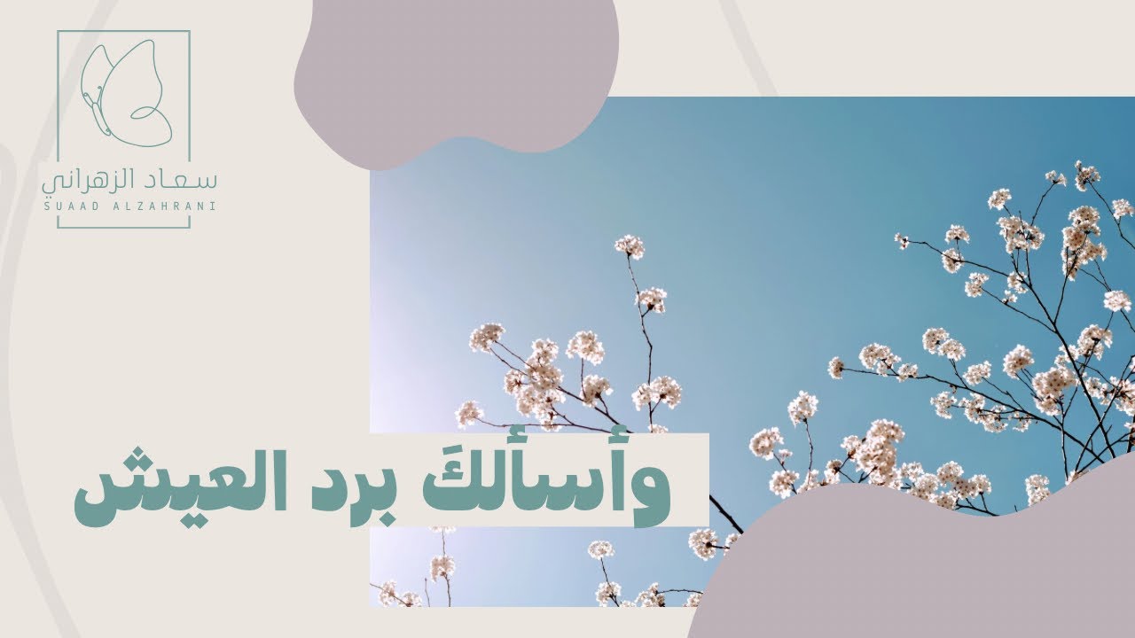 شهر الاستعداد / شعبان🌻✨