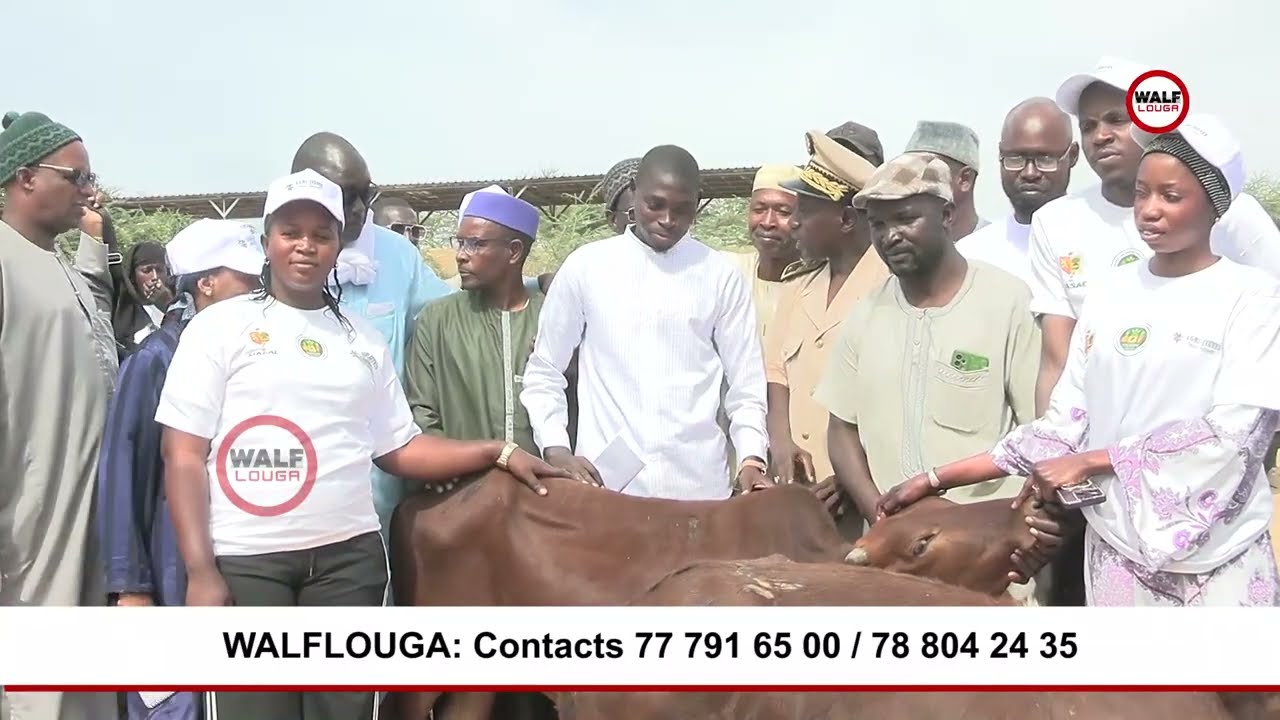 Commune de Leona: 150 jeunes de Socopapop pro reçoivent un accompagnement du projet Agri-jeunes  