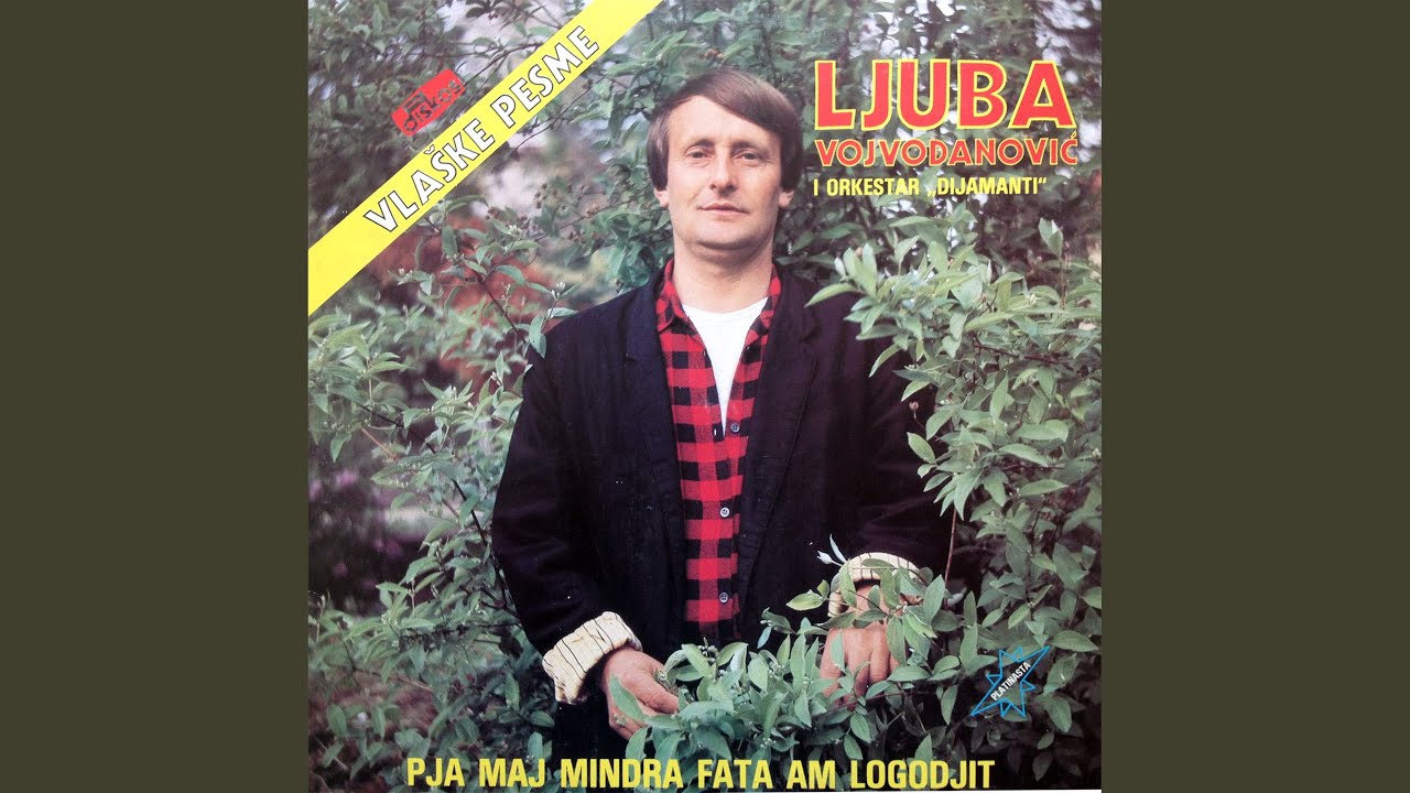 Vojvodanovo kolo (Instrumental)