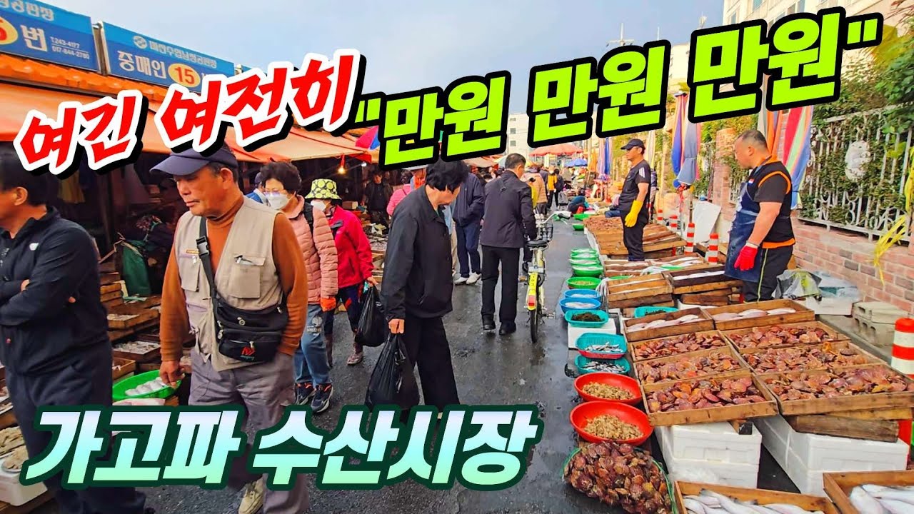이렇게 싱싱한걸 이 가격에 판다고?  그것도 국내산을~  일단 한번 보면 분명이 가고파 질겁니다.