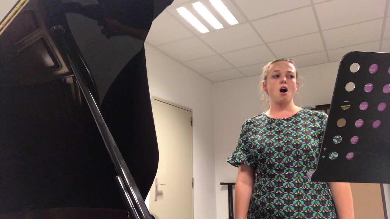 Struys zingt strauss - nog een kleine teaser
