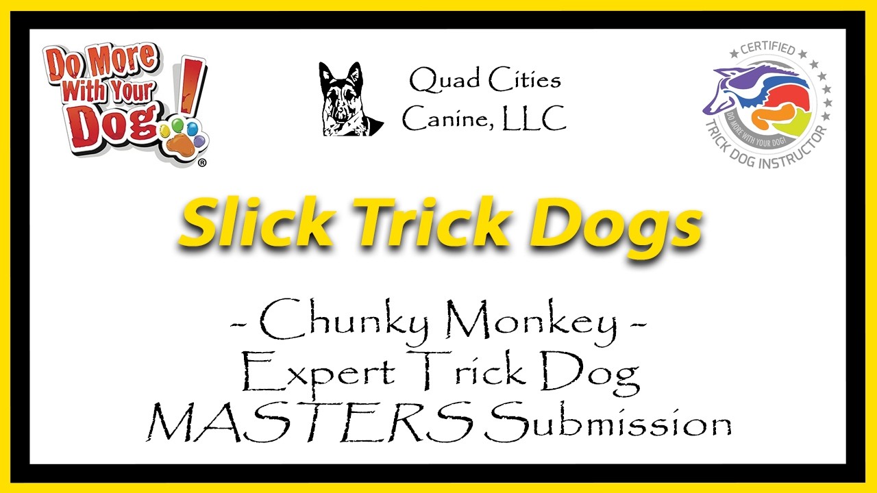 Chunky Monkey's Expert Trick Dog Masters Submission