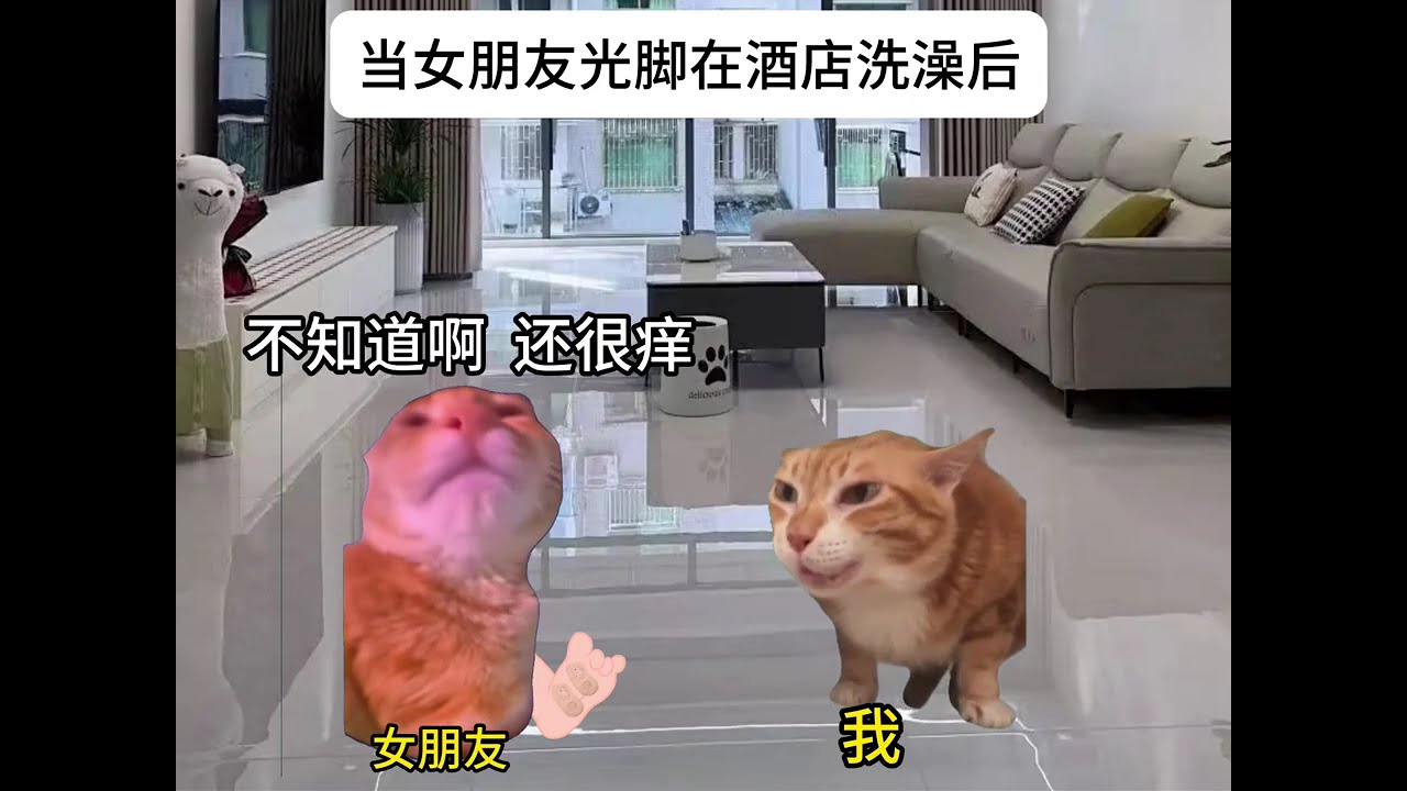 女朋友光脚在酒店洗澡 你会怎么做？？#猫meme  #猫meme小剧场 #猫meme剧场 #内容过于真实 #搞笑