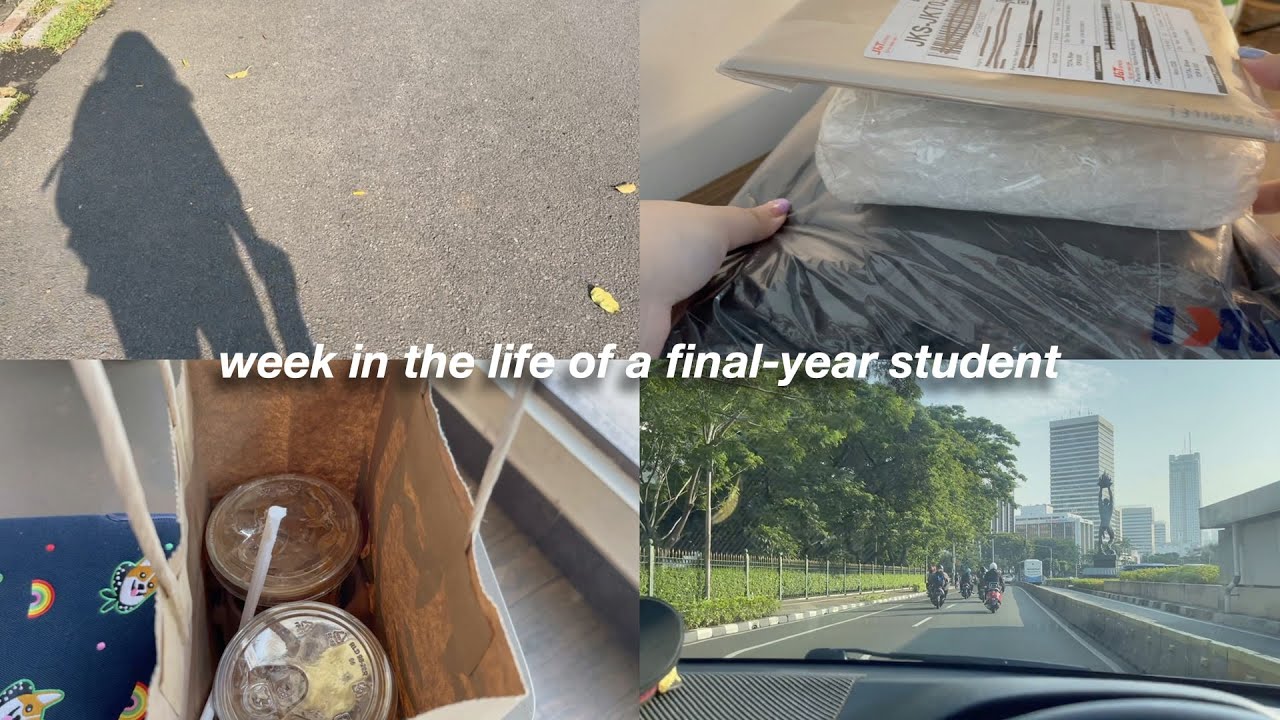 jakarta vlog: intern⎮unboxing⎮friends⎮new working chair⎮cats