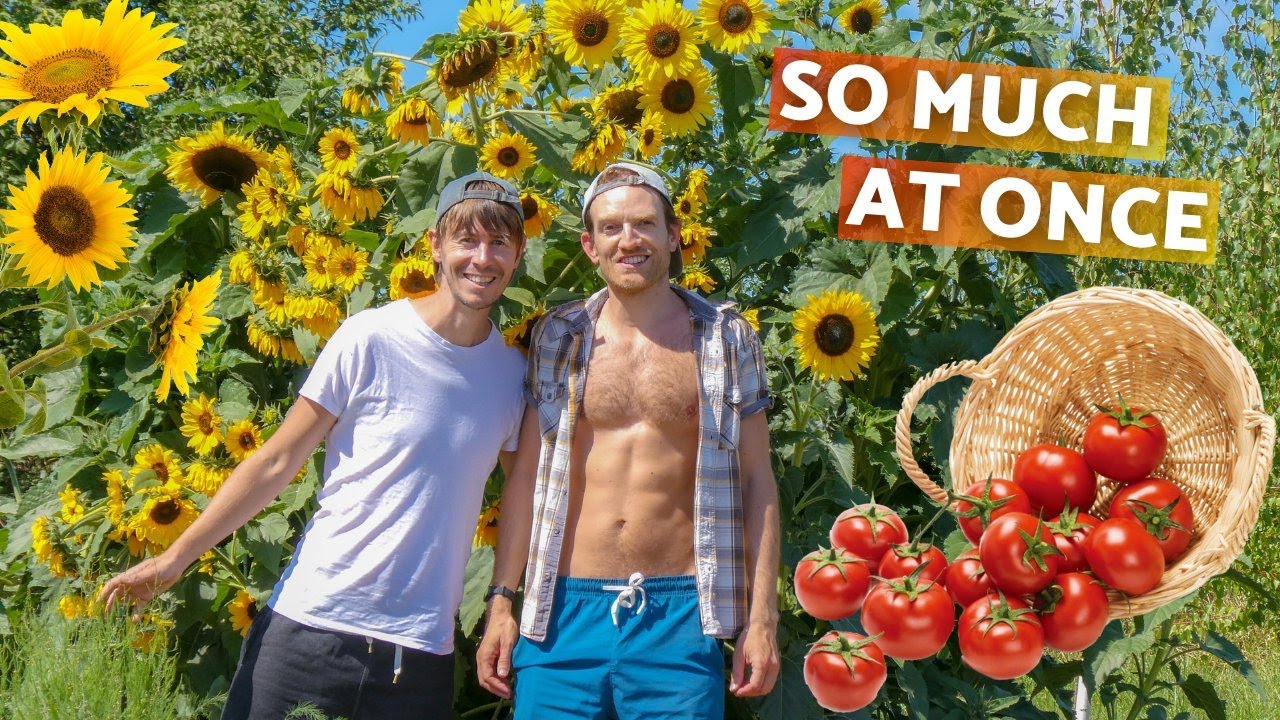 Overloaded! (When everything ripens in our garden) | Life on a small farm in Central Europe