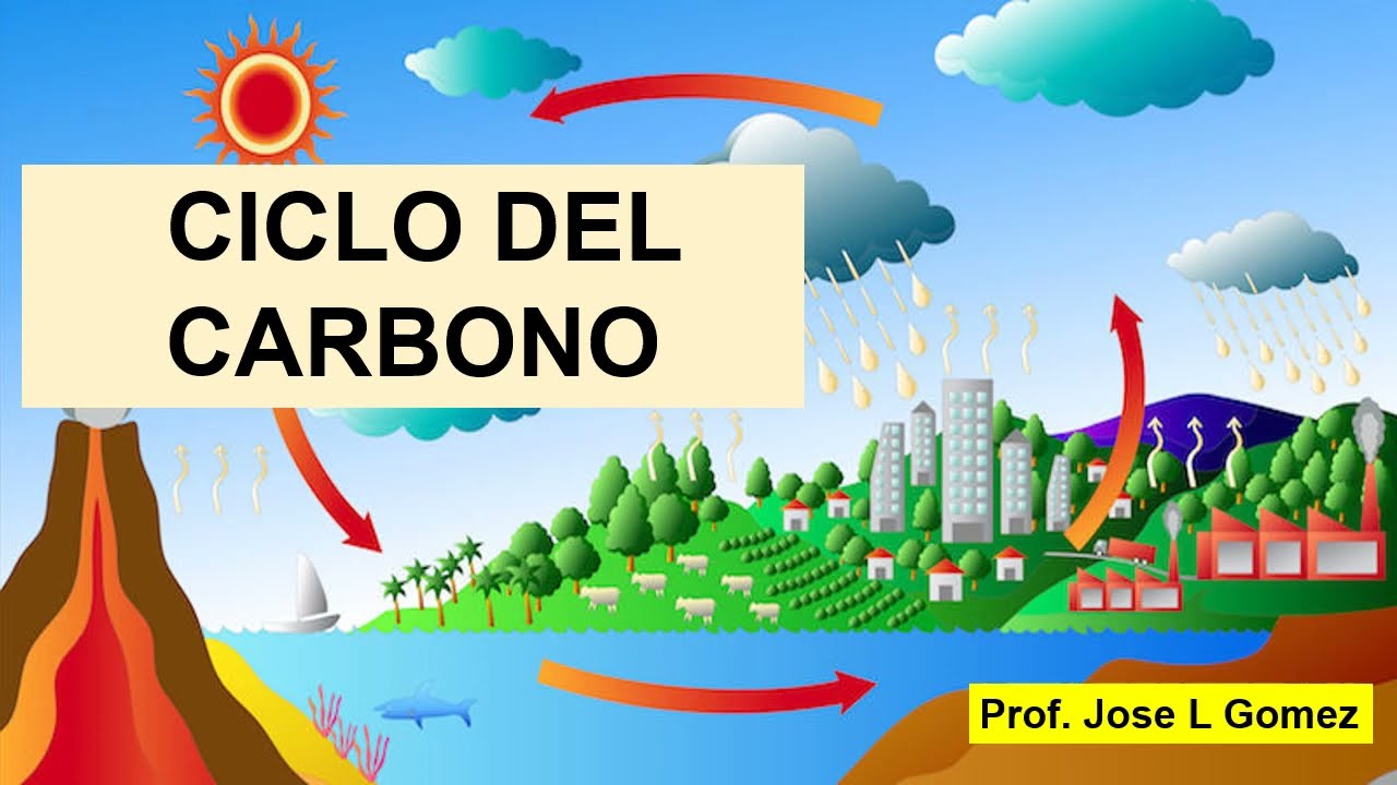 CICLO BIOGEOQUIMICO DEL CARBONO