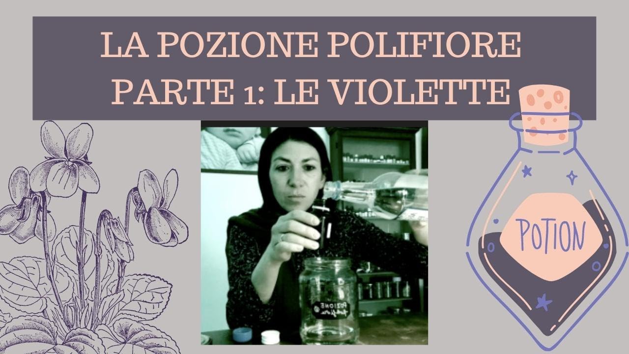 LA POZIONE POLIFIORE (PARTE 1) ESTRAZIONE DELLE VIOLETTE