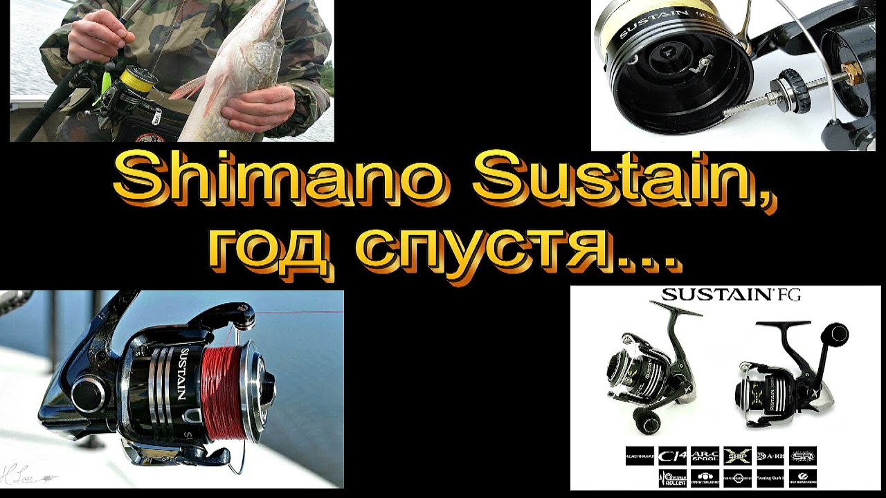 Shimano Sustain 4000 FG -  год спустя.