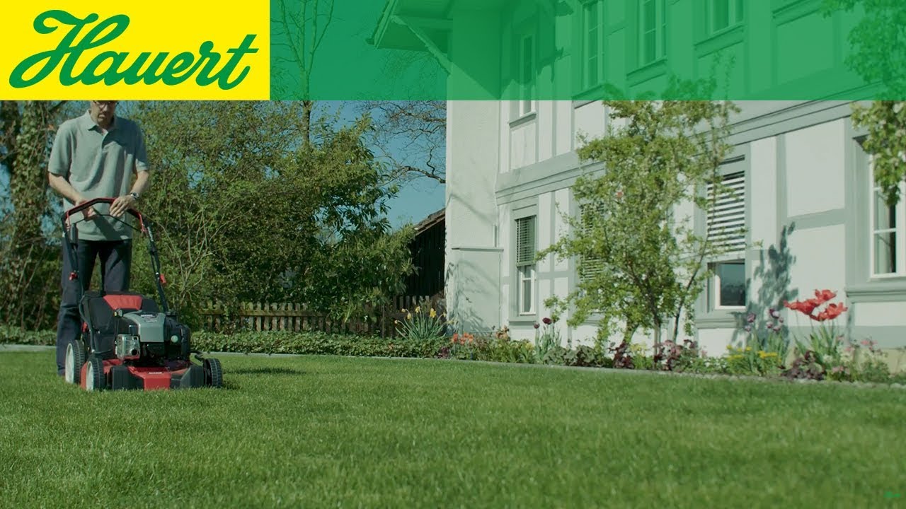 Comme dessiner des bandes comme au stade dans son propre gazon ?