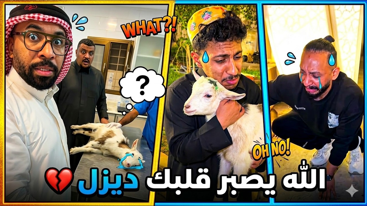 بوريان الدكتور يقول لازم تنويم ...👨‍⚕️
