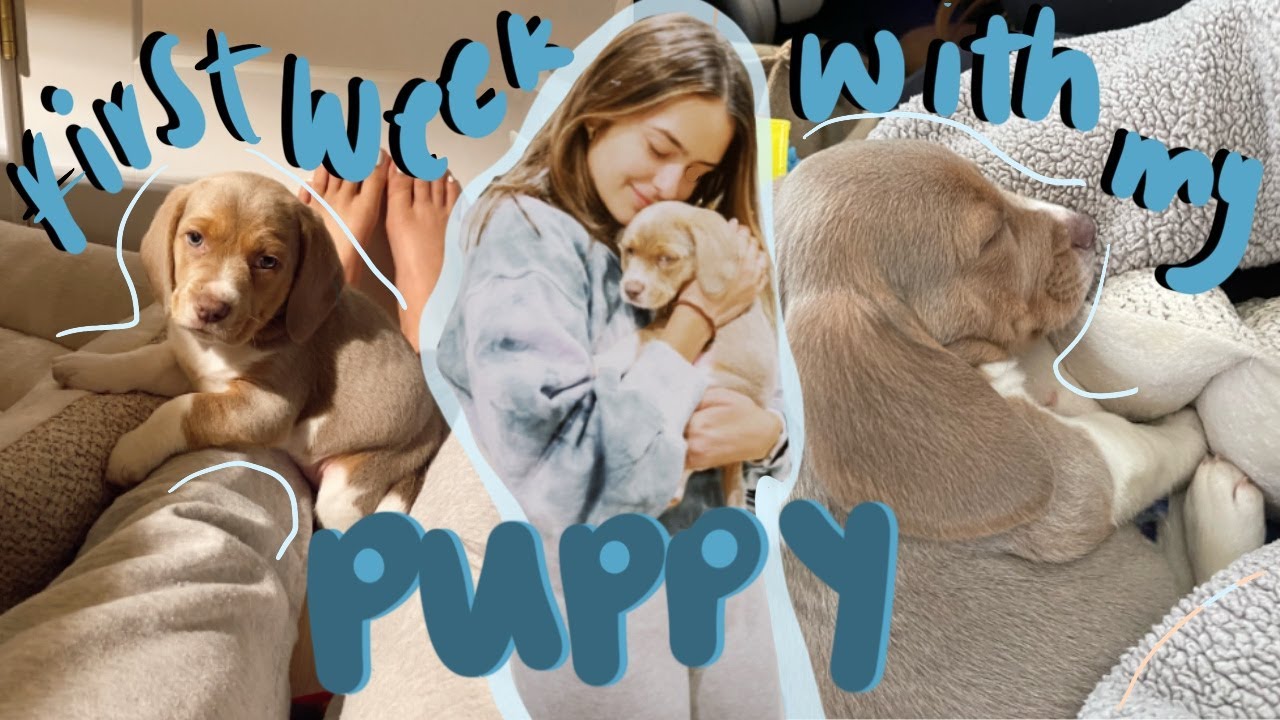 FIRST WEEK WITH MY PUPPY!! | Realities of Getting a Puppy