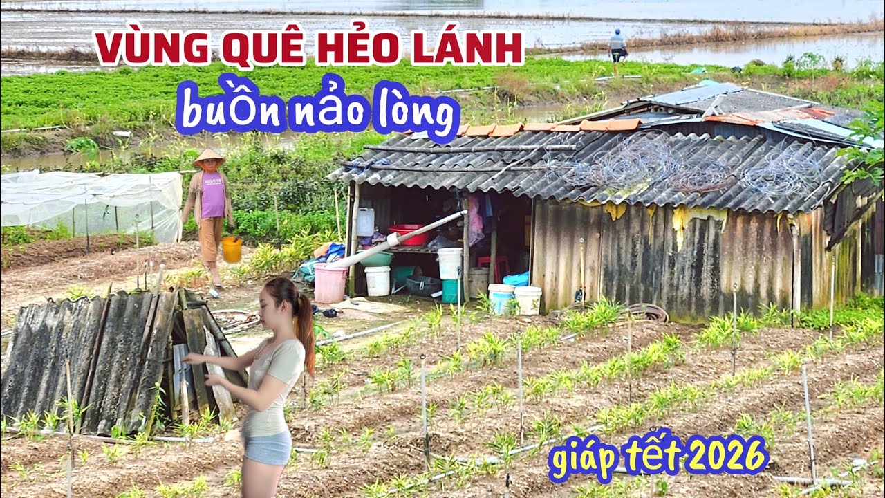 Bất Ngờ V&ugrave;ng Qu&ecirc; Nh&igrave;n Buồn Nảo L&ograve;ng, Nh&agrave; Cửa Thưa Thớt Chỉ Thấy Đồng Ruộng Gi&aacute;p Tết 2026