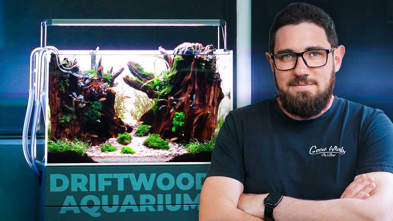 Creating an UNDERWATER FOREST in 60 liters