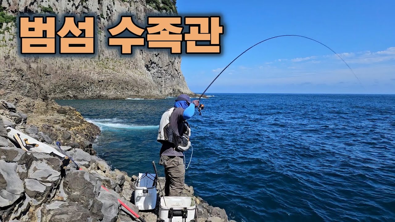 범섬은 현재 잡어 백화점