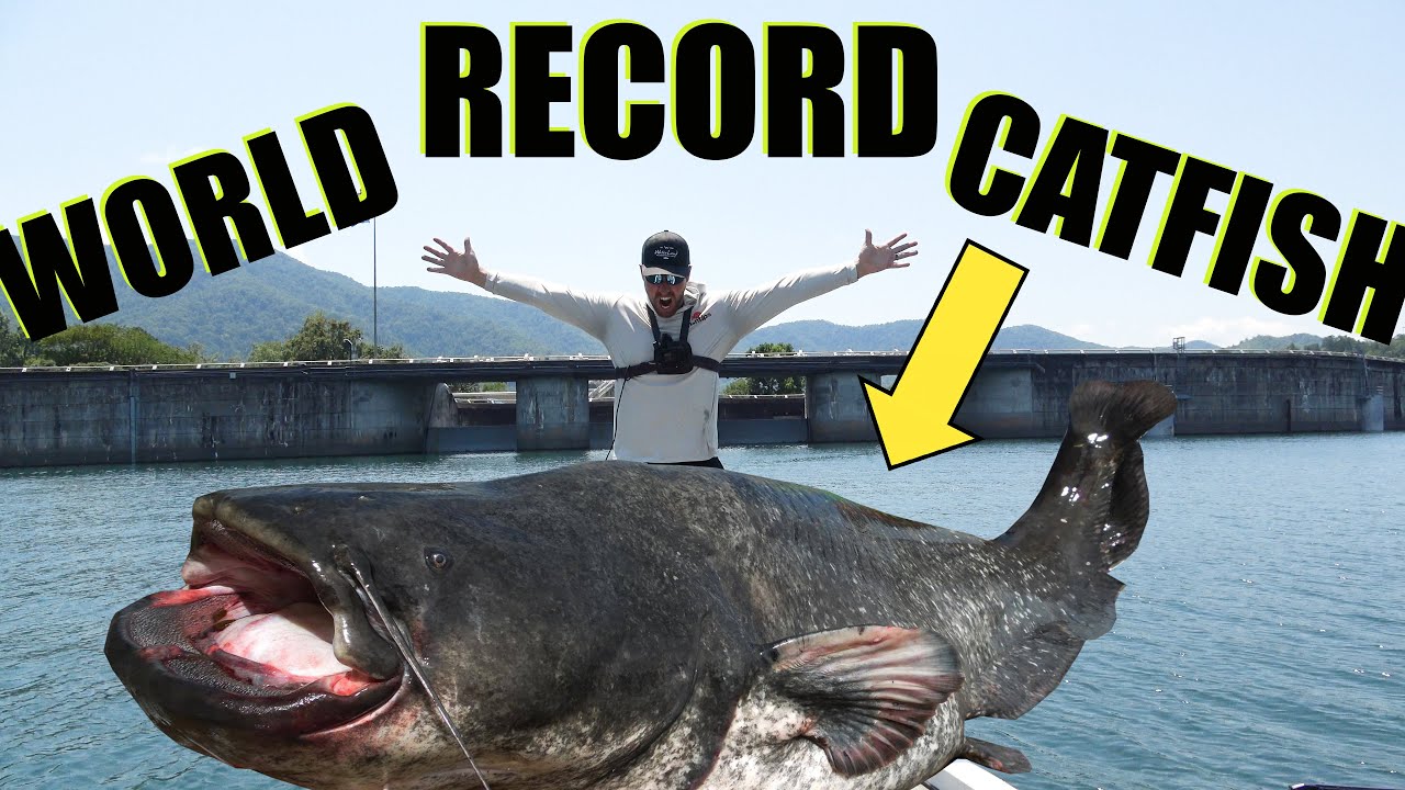 Hunting the DAM MONSTER (Short Documentary) World Record Catfish in Historical Deep Lake!