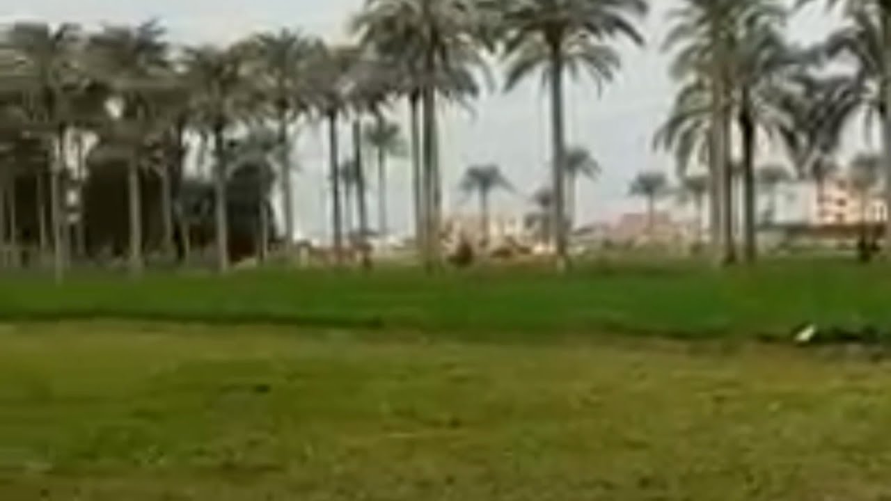 مزرعة للبيع 60 فدان ابو المطامير