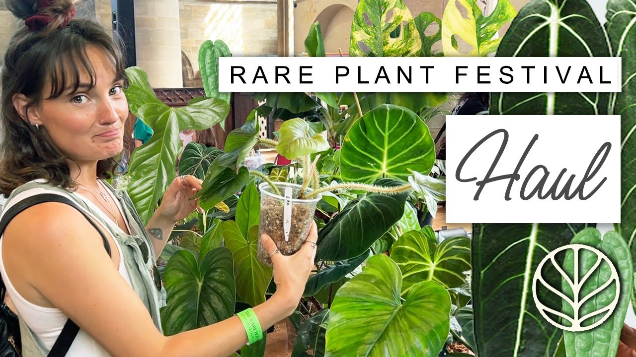 Rare Plant Festival HAUL 💚 I Broke My Plant Ban AGAIN (but it was worth it)