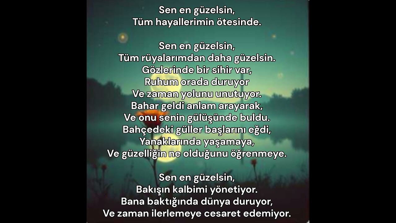 Turkish Song Lyrics Sen en güzelsin, 2 Hashem Atfeh