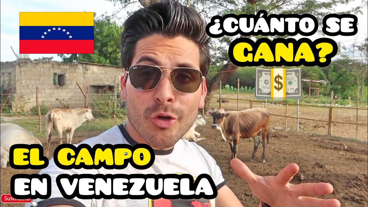 ¿COMO ESTÁ el CAMPO en VENEZUELA | ¿CUÁNTO CUESTA UNA VACA?