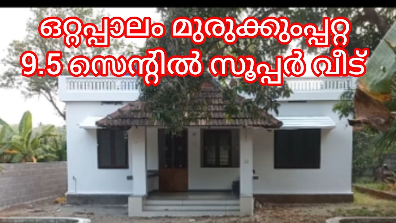 ഒറ്റപ്പാലം മുരുക്കുംപ്പറ്റ 9.5 സെന്റിൽ സൂപ്പർ വീട് 