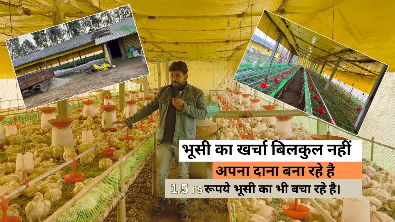 मुर्गा फार्म मैं अपनी लागत को और भी कम कैसे किया जाये ?