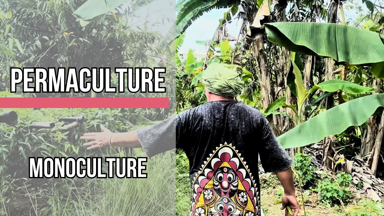 Is Monoculture Killing Your Soil?