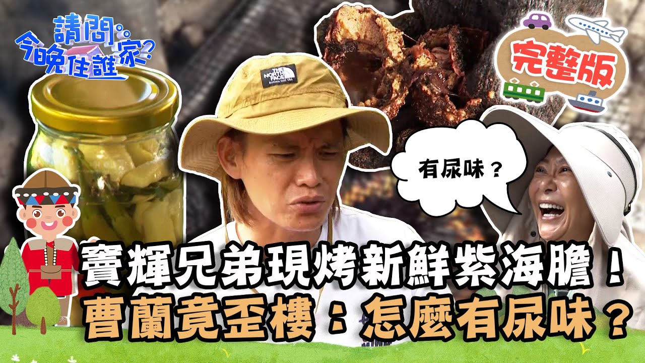 【台東】清涼解暑阿美族酸辣湯！竇輝兄弟現烤新鮮紫海膽！曹蘭竟歪樓：怎麼有尿味？📌東河【請問 今晚住誰家】20220920 EP616 竇智孔 黃鐙輝